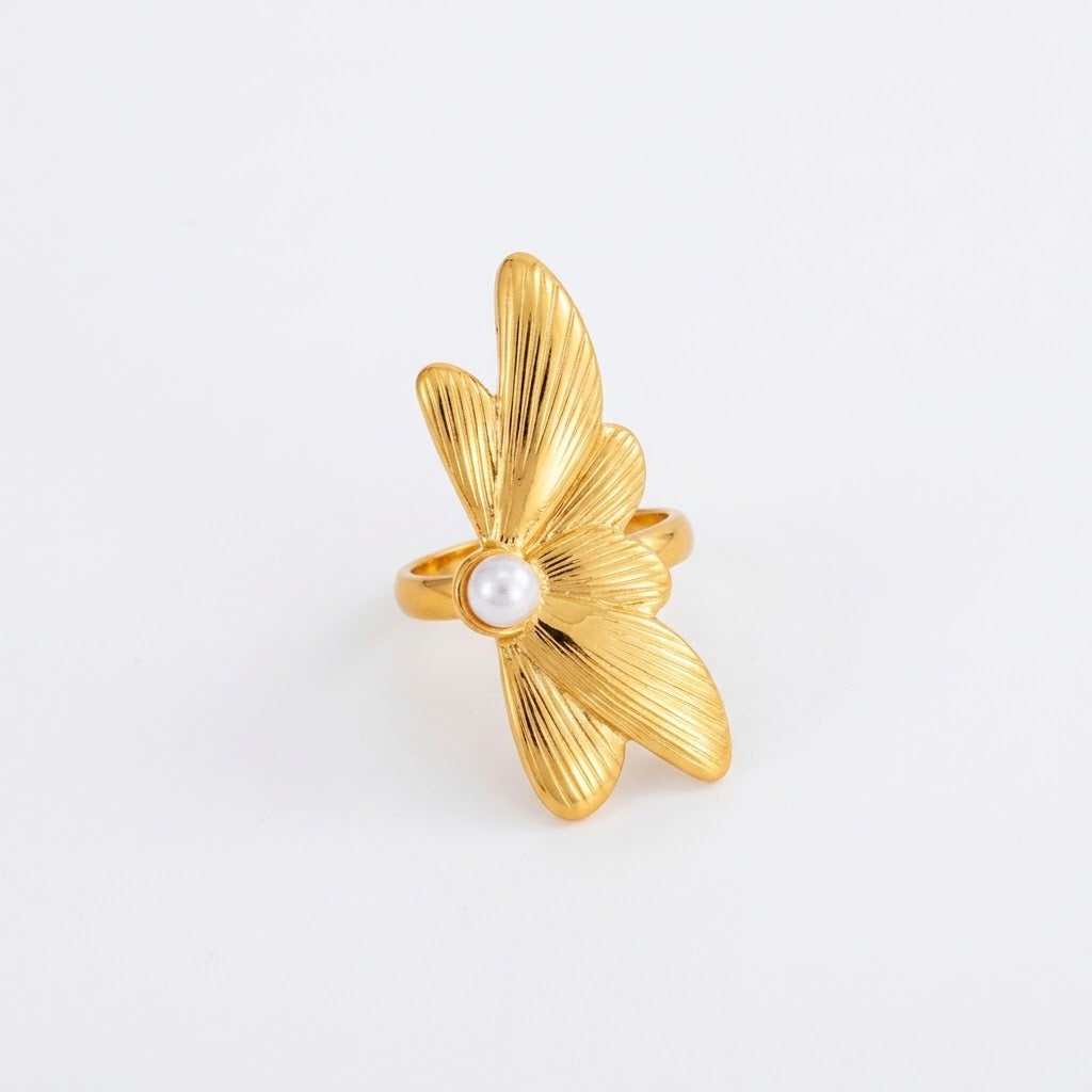Anillo Sheet